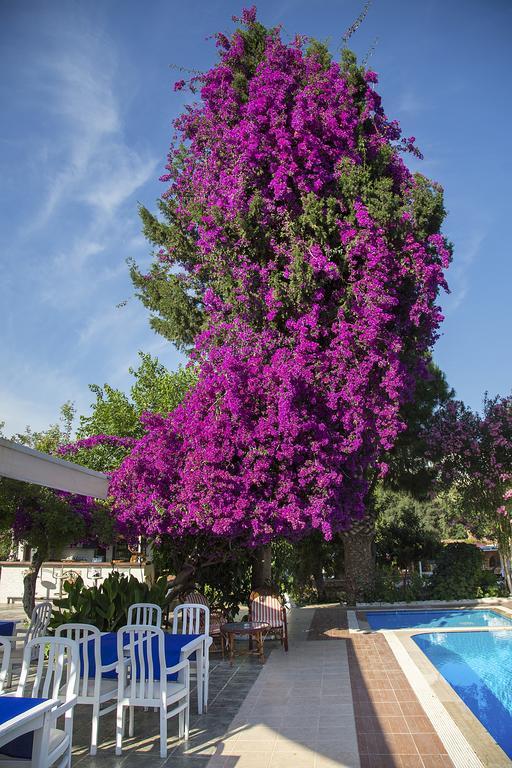 Club Antiphellos Kaş